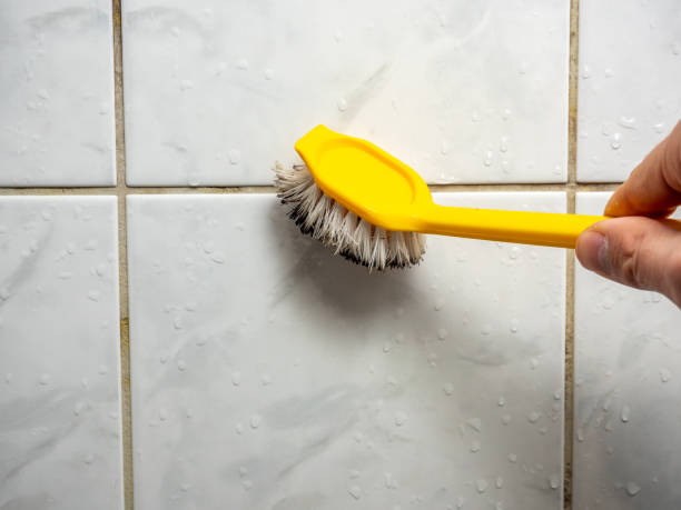 Best Mold Removal Company Near Me  in Dublin, GA