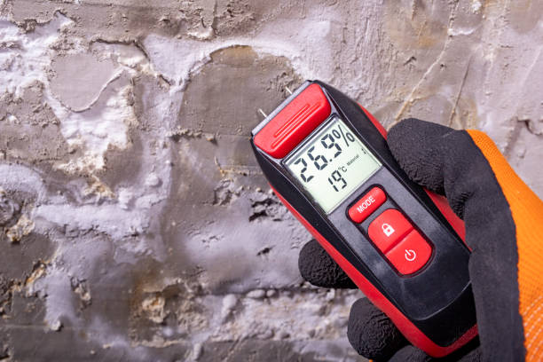 Best Local Mold Removal Service  in Dublin, GA