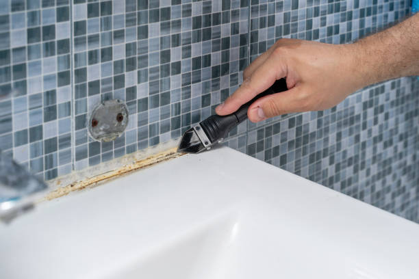 Home Mold Removal in Dublin, GA