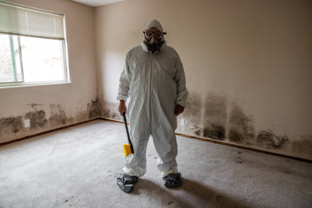 Best Mold Testing  in Dublin, GA